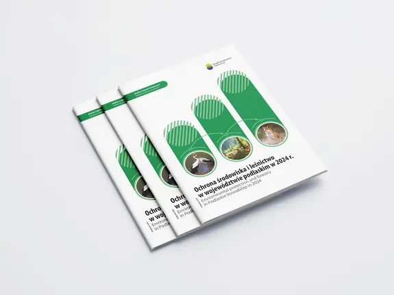 Mockup Environmental protection and forestry in Podlaskie Voivodship in 2024