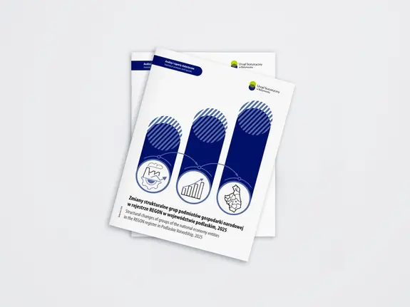 Mockup Structural changes of groups of the national economy entities in the REGON register in Podlaskie Voivodship, 2025